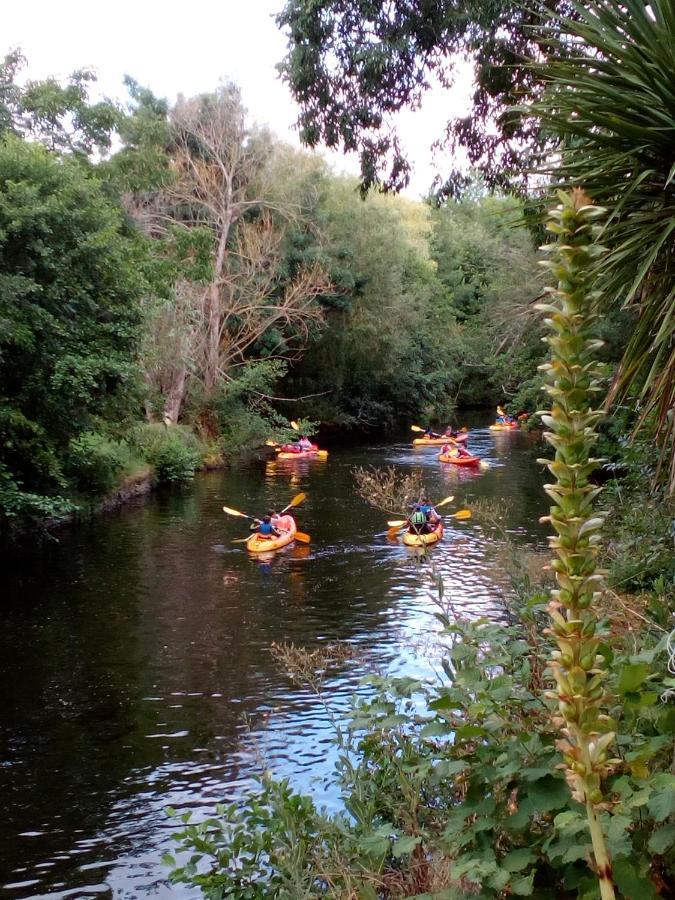 Les Cedres Panzió Montaigu-Vendee Kültér fotó